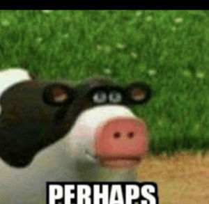 Meet your Posher, Adrienne